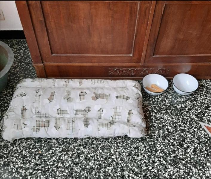 La Tana Dei Conigli Apartamento Serra Rocco Exterior foto