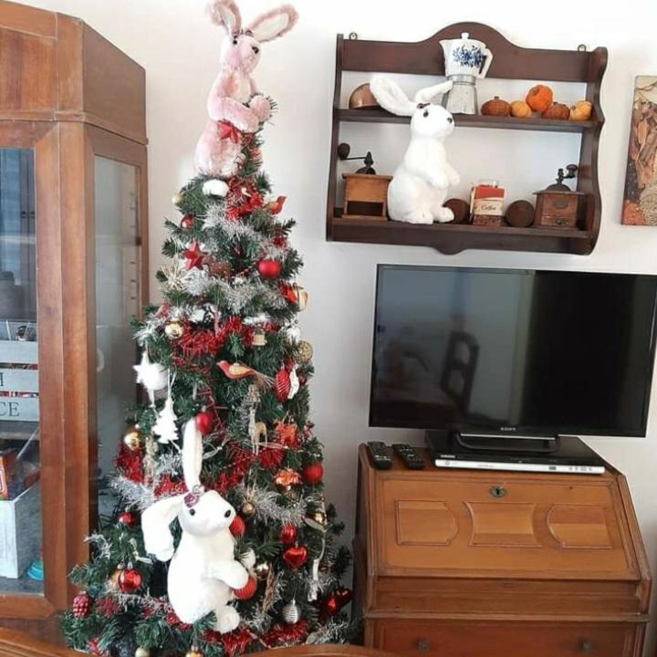 La Tana Dei Conigli Apartamento Serra Rocco Exterior foto