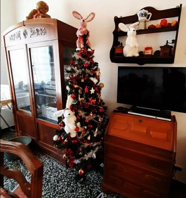 La Tana Dei Conigli Apartamento Serra Rocco Exterior foto
